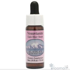 フラワーエッセンス アラスカン・エッセンス リサーチエッセンス