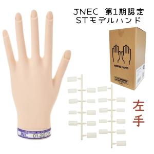 滝川（TAKIGAWA） JNEC認定ハンド STモデルハンド 右手 ネイルチップ