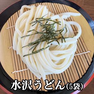 ギフト 群馬名産品 大澤屋 水沢うどん 半なまタイプ 4人前 (うどん