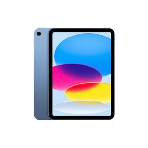 iPad Pro 第10世代 256GB APPLE Wi-Fiモデル 新品未開封 本体