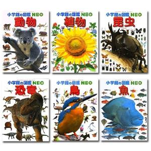 講談社の動く図鑑MOVEシリーズ 28冊セット : 枚方 蔦屋書店 Yahoo!店