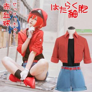 コスプレ衣装 ジョジョの奇妙な冒険 Part7 ホット・パンツ 帽子付き