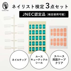 JNEC認定 STモデルハンド ネイルチップ 練習用/トレーニング用
