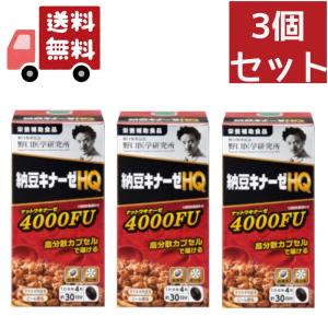 野口医学研究所 納豆キナーゼHQ ナットウナーゼ4000FU 120粒 賞味期限