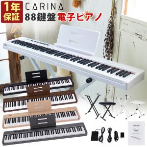 Donner ドナー 電子ピアノ セミウェイト 88鍵盤 DDP-60 Natural／Gray