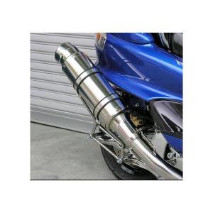 WirusWin（ウイルズウィン） スタイリッシュツインマフラー ジェット