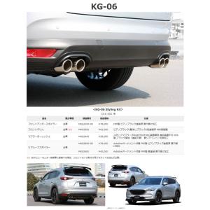 オートエクゼ オートエグゼ(AUTOEXE) スポーツインダクションボックス