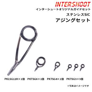 Fuji シーバス ガイドセット ステンレスSiC PKLSG25H8-IS スピニング