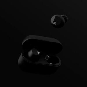 final 完全ワイヤレスイヤホン ZE3000 SV FI-ZE3SDPLTW イヤホン本体