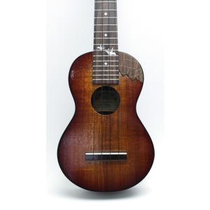 K.Yairi 中古 ヤイリ アコースティックギター RYF-OM18B-BS FISHMAN製