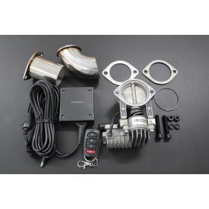 APEXi アペックス ECV φ51フランジ汎用タイプ TypeA 北海道・沖縄