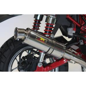 スペシャルパーツ武川 武川 モンキー125(JB05) スポーツマフラー