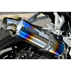 AKRAPOVIC（アクラポビッチ） JMCA仕様 スリップオンラインマフラー