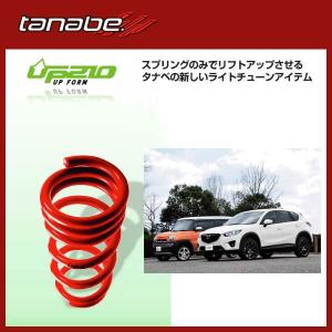 TANABE（タナベ） リフトアップスプリング DEVIDE UP210 1台分