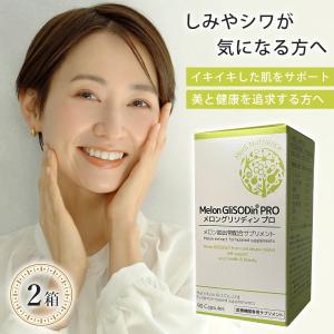 ユーブロック サプリメント サンソリット UV lock U・Vlock 30粒