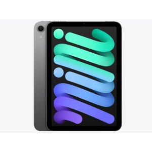 Apple iPad mini 第7世代 セルラー 256GB MXPT3JA スペースグレイ【お