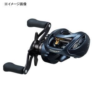 DAIWA（ダイワ） 19 タトゥーラ TW [TATULA TW] 100HL 205658 ベイト