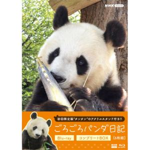 ドキュメント・九州任侠界 クライシス21▽レンタル用 中古 DVD 極道