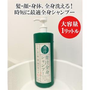 ヒロ・コーポレーション 3in1 青汁全身シャンプーI 1000ml バス用品 お