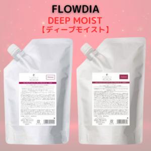 FLOWDIA デミ フローディア シャンプー 450mL＆ トリートメント 450g
