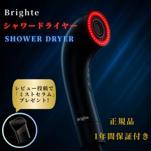 Brighte ブライト シャワードライヤー SHOWER DRYER BRT-SD173 ヘア