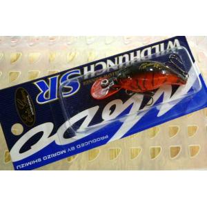 エバーグリーン オライオン OCSC-69MH ムーンゲイザー : CURIOSITY