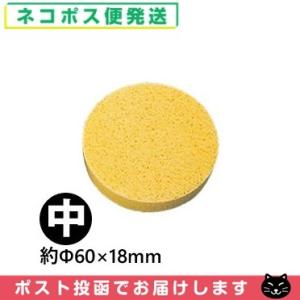 伊藤超短波 ATミニ AT-miniII(AT-mini2)用・オプション品 (9)MCR