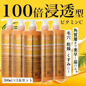 ステイフリー VC-100ブライトモイスチャーローションプレミアムDX 化粧