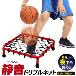 エアドリブル Alr Dribble バスケットボール 室内練習グッズ/Clipper