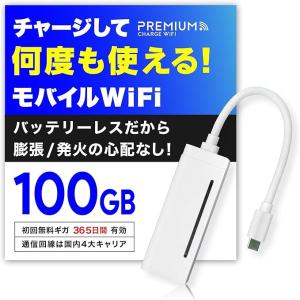 リチャージ式 ポケットwifi USB型 365日間 100GB チャージ済 モバイル