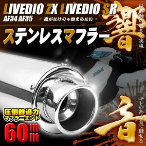 KN企画 ZX03-1 ライブディオ系 ノーマルタイプマフラー : バイクマン 2