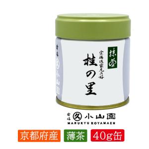 抹茶 宇治 丸久小山園 青嵐 200g 缶詰（あおあらし） 濃茶 薄茶 茶道
