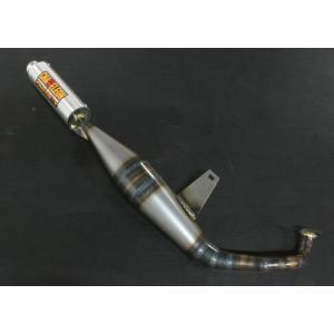 CHAMELEON FACTORY（カメレオンファクトリー） パラライザーIII