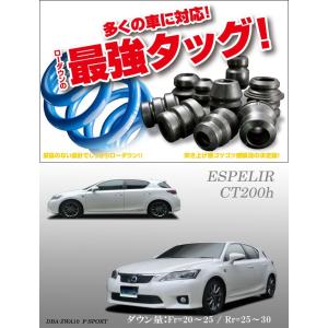 ESPELIR]ZWA10 レクサスCT200h用スーパーダウンサス : ユニオン