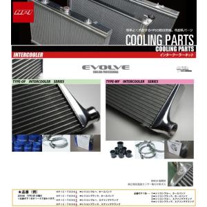 HPI】 ラジエター EVOLVE (エヴォルブ) STD Series トヨタ マークII
