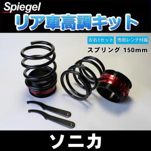 シュピーゲル スプリング 車高調専用 ダイハツ用 リアショート