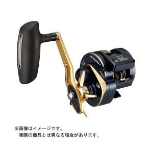 DAIWA（ダイワ） 21ソルティガ IC 300H-SJ カウンター付リール