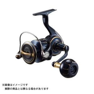 DAIWA（ダイワ） 25 ソルティガ 300HL 左ハンドル (2025年モデル