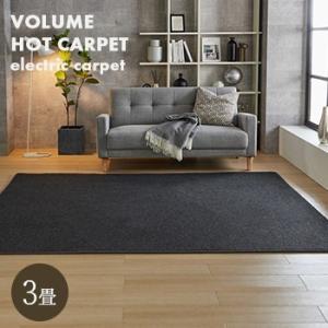 MORITA（モリタ） ホットカーペット 3畳 195x235 TMC-300 MORITA 本体