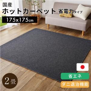 Panasonic（パナソニック） ホットカーペット 1.5畳 本体 電気