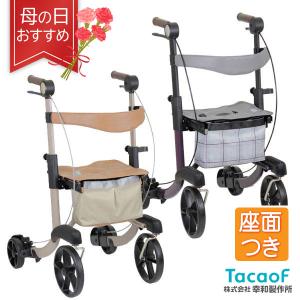 テイコブリトルRF(WAW02) 抑速機能付き後輪 歩行車 : 介護用品スクリオ