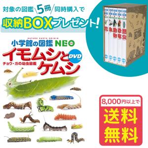 小学館の図鑑NEO 危険生物 DVDつき（収納BOX付・送料無料・条件有