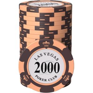 ポーカーチップ カジノチップ 5種 100枚 セット 数字あり ケース付き