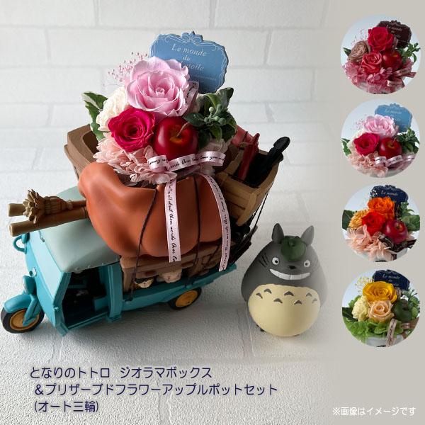 となりのトトロ ジオラマボックス＆プリザーブドフラワーアップル