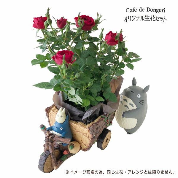 トトロ ガーデニング プランター」の人気商品一覧 | 安い商品を通販