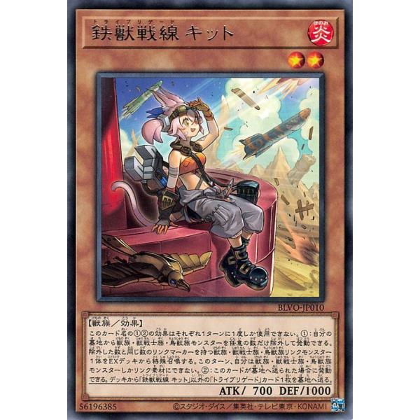遊戯王オフィシャルカードゲーム デュエルモンスターズ 遊戯王カード