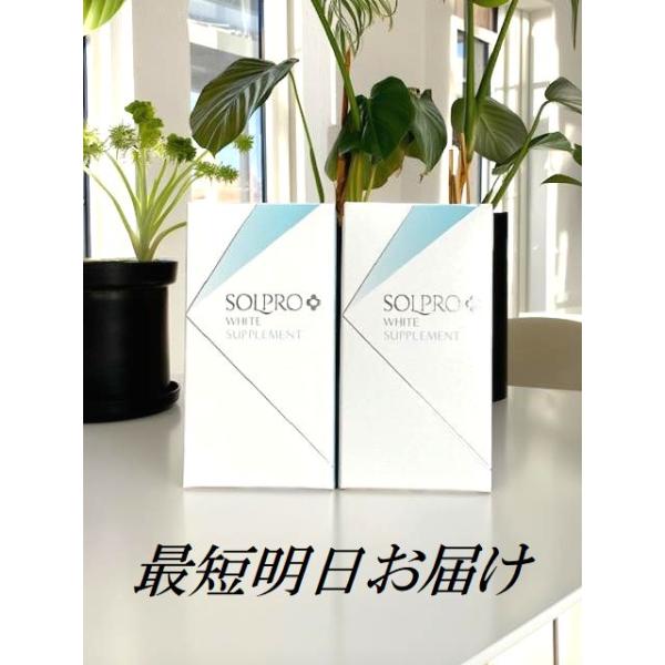 2個セット ソルプロ プリュス ホワイトサプリメント 30粒×2