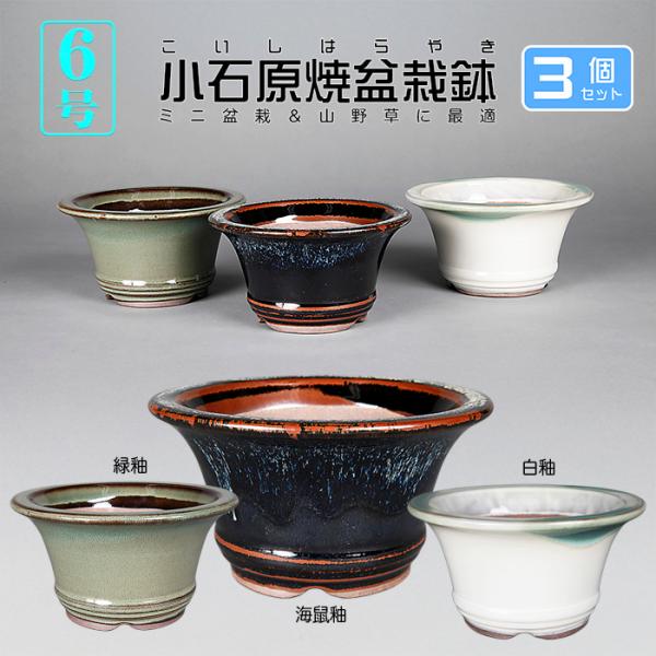 盆栽鉢 小石原焼6号深外縁丸鉢3点セット 山草鉢 植木鉢 口径18cm 小品