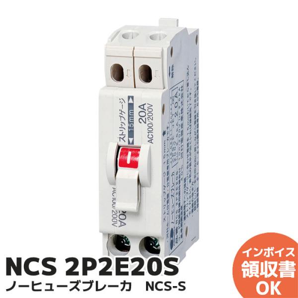 denchiya_ncs2p2e20s