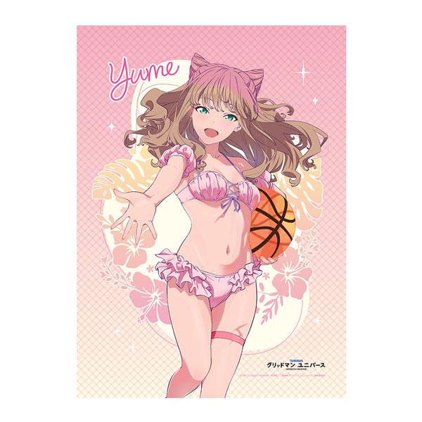 グリッドマン ユニバース 描き下ろしB2タペストリー (南夢芽/水着) W
